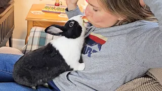 EATING AN APPLE IN FRONT OF A RABBIT