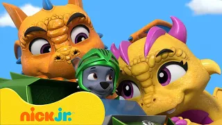 ¡Los mejores rescates de animales bebés de PAW Patrol! Con dinosaurios y dragones | Nick Jr.