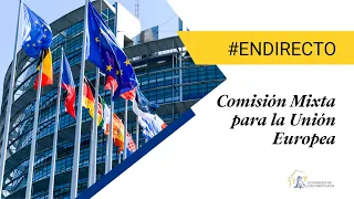 Comisión Mixta para la Unión Europea (21/12/2023)