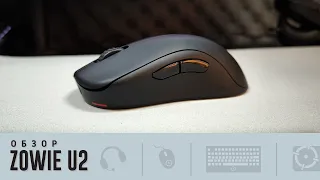 Обзор Zowie U2. Создана знающими людьми!