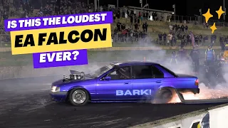 BARK! Nelg Taylor, in his Wild EA Falcon making crazy amounts of noise at MV38