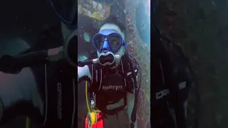 She said she will DIVE NAKED for her 100 Dive | Scuba Diving in Koh Tao, Thailand | Part 4 | #shorts