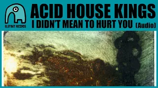 ACID HOUSE KINGS - I Didn't Mean To Hurt You (A Tribute To Felt) [Audio]