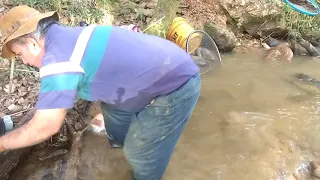 Como achar ouro em barranco de Rio hoje eu achei