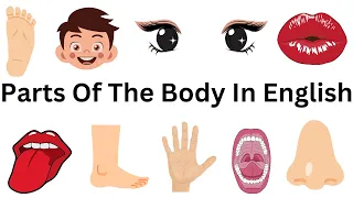 Parts Of The Body | Human Body Parts In English For Kids | Human Body Vocabulary For Children |