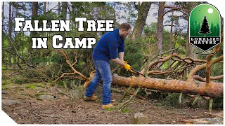 Fallen Tree in Our Camp - 4 Days Camping | Part 1