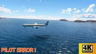 GREATEST EMERGENCY LANDINGS EVER CAUGHT ON CAMERA 309 #emergency #landing