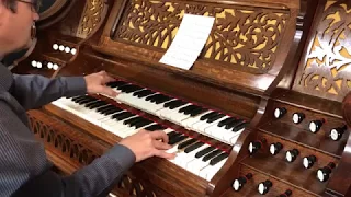 What Child Is This (2017 Christmas Collection) - Doherty "Cathedral" Reed Organ