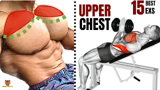 15 BEST  UPPER CHEST  WORKOUT AT GYM / Meilleurs exs Musculation  HAUT DE LA POITRINE .