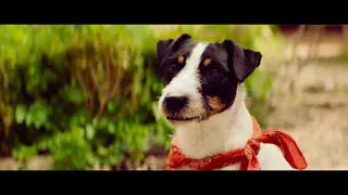 LILIANE SUSEWIND - EIN TIERISCHES ABENTEUER - Trailer