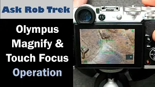Olympus Camera Magnify and Touch to Focus Tutorial ep.438