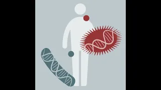 Microbiome Analysis 2023 | 04: Intro to Metagenomic Sequencing