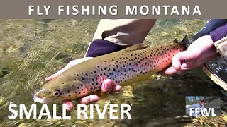 Fly Fishing a Small Stream in Southwestern Montana [Series Episode #16]