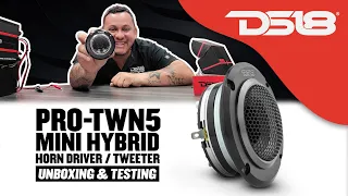 DS18 PRO-TWN5 (Unboxing/Testing) High Compression Neodymium Hybrid Driver/Tweeter