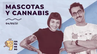 MASCOTAS Y CANNABIS / MAÑANERO EL MATINAL