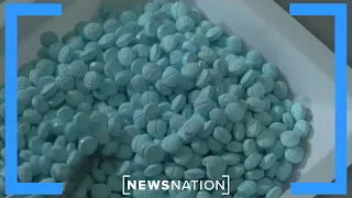 Texas lab works to detect fentanyl coming across southern border | NewsNation Now