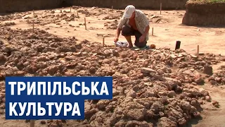 Розкопки поселення трипільської культури