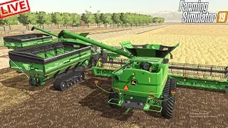 HAPPY NEW YEAR!!! | HARVESTING 1,000 ACRES | (LIVESTREAM) FARMING SIMULATOR 2019