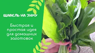 Как сохранить Щавель на зиму/Самый простой рецепт без соли и уксуса для зеленого борща круглый год