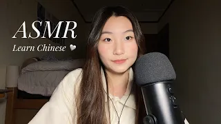 [ASMR] Learn Chinese while you sleep! Essential Chinese phrases for restaurants and casual chats 🗣