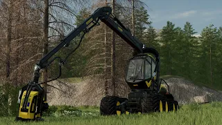 Fs22 Timelapse | Forestry in Umbreon Valley | Cutting a flooded area | S3 E01