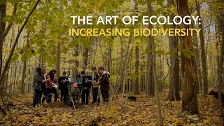 Art of Ecology: Increasing Biodiversity