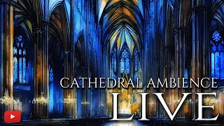 CATHEDRAL AMBIENCE LIVE | 1 HOUR of Calming Pipe Organ Music for Meditation, Study, Sleep, etc.