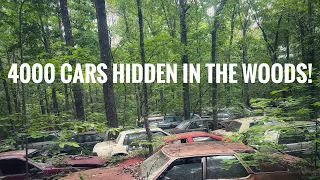 Unbelievable car collection hidden in the forest, I buy my dream car!