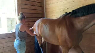 ARI Massage, Jumping Horse Pt. 4