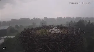 Tego się po Raszkach nie spodziewałam - 01.06.2024