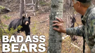 Best of Bear Hunting Compilation!