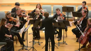 Dean Estabrook:  A Brief Serenade for Strings - Veridian Symphony Orchestra