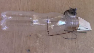 Ловушка для мыши "Наклони бутылку"