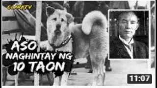 ASO NAGHINTAY NG 10 TAON SA AMO HANGGANG MAMATAY TOONG KWENTO ASONG SI HACHIKO l Clark TV