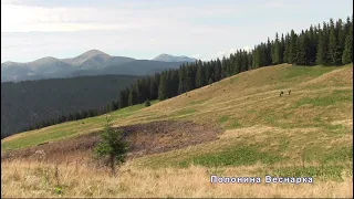 З Кривопільського перевалу на гору Костричу