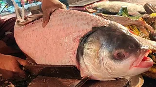 Amazing Man Cutting | Giant Katla Carp Fish Skinning & Chopping Live In Fish Market