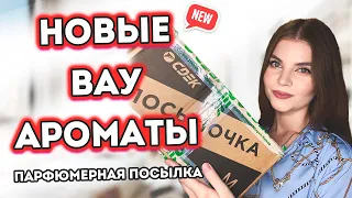 МОИ НОВЫЕ ВАУ АРОМАТЫ | ПАРФЮМЕРНАЯ ПОСЫЛКА velmarmeladkina 😍