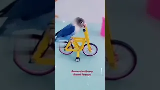 funny parrots videos compilation 2021|cute birds|funny pets animals