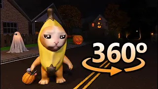 Banana Cat HALLOWEEN in 360° | VR / 4K