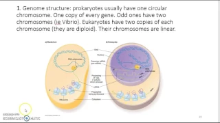 Genome Annotation - Definition, P and E Genes