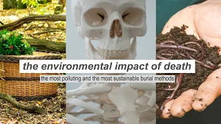 The Impact of Death // pollution post mortem + sustainable burial methods