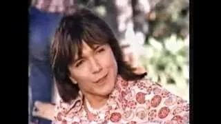 The Partridge Family - I Think I Love You