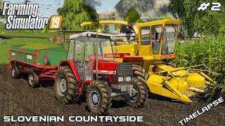Silage harvest with MrsTheCamPeR | Slovenian Countryside | Farming Simulator 2019 | Episode 2