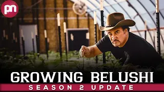 Growing Belushi Season 2: Why got Cancelled? - Premiere Next