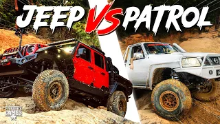 JEEP Gladiator vs. GU PATROL - Glasshouse Mountains