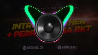 🔈BASS BOOSTED🔈 - INTRO EL FATHER + PERRA PALGA - RKT - NICO DJ,LUCIANO DJ FT BRIAN REMIX