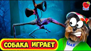 СИРЕНОГОЛОВЫЙ ПОЙМАЛ МАКСА! Секретные концовки. СОБАКА ИГРАЕТ ! (Siren Head ) #4 Валеришка Макc