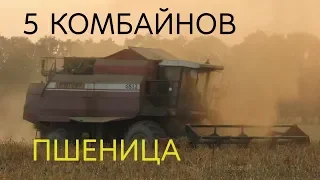 [Уборка пшеницы] New Holland CX 8080, 2X ПАЛЕССЕ GS12, CLAAS Lexion 560, 580 и др.