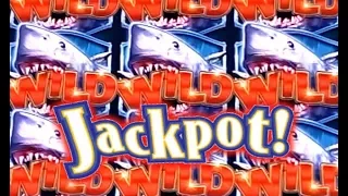 ★ JACKPOT HANDPAY ★ First for Sharknado Slot Machine! Max Bet ✦ David's Bonus!! ☞ Slot Traveler