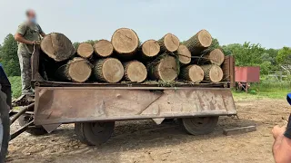 На Полтавщині поліція припинила протиправну діяльність групи, яка займалася незаконною порубкою лісу